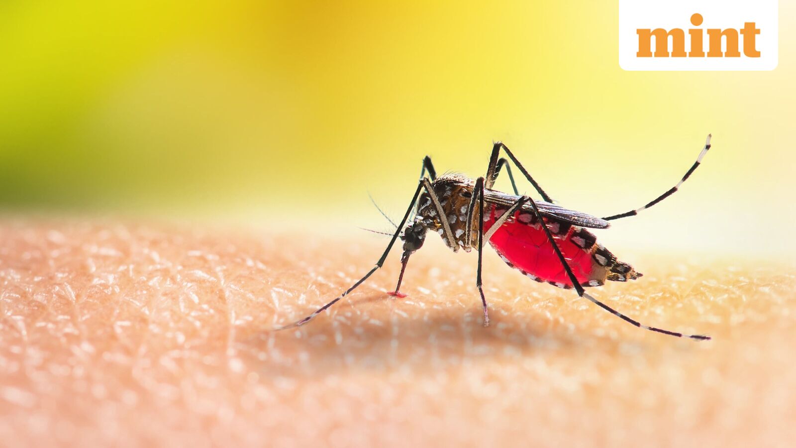 Centre steps up dengue surveillance as monsoon raises outbreak risk