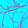 Somatic mutations linked to vascular damage in progeria