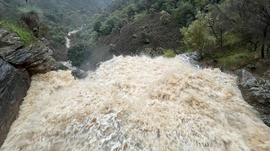 Adelaide waterfalls roar to life as reservoirs receive decade-high deluge