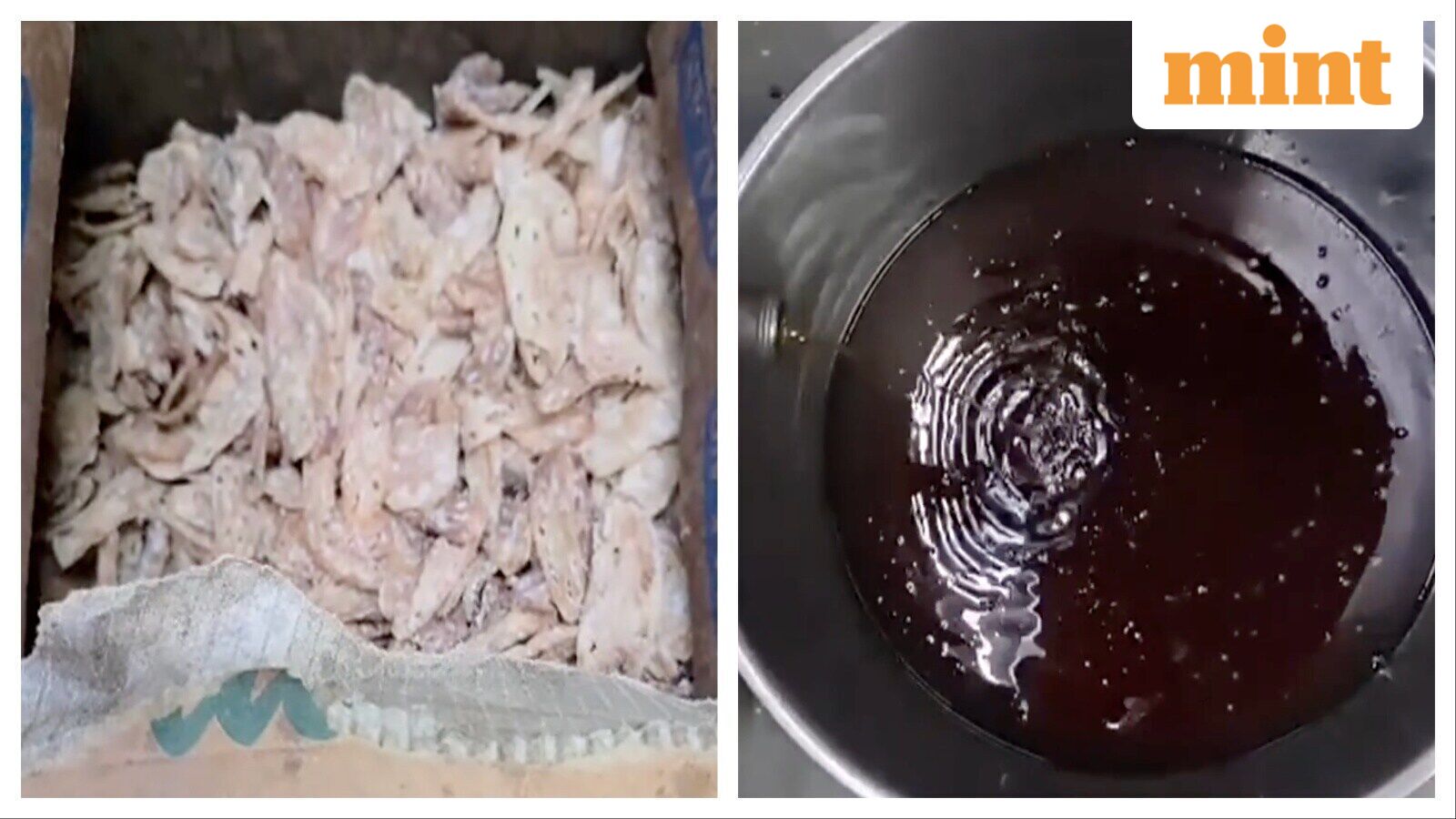 Bengaluru hotels raided: 132 kg rotten food, fungus-infected meat, expired curd seized in Karnataka's food safety drive