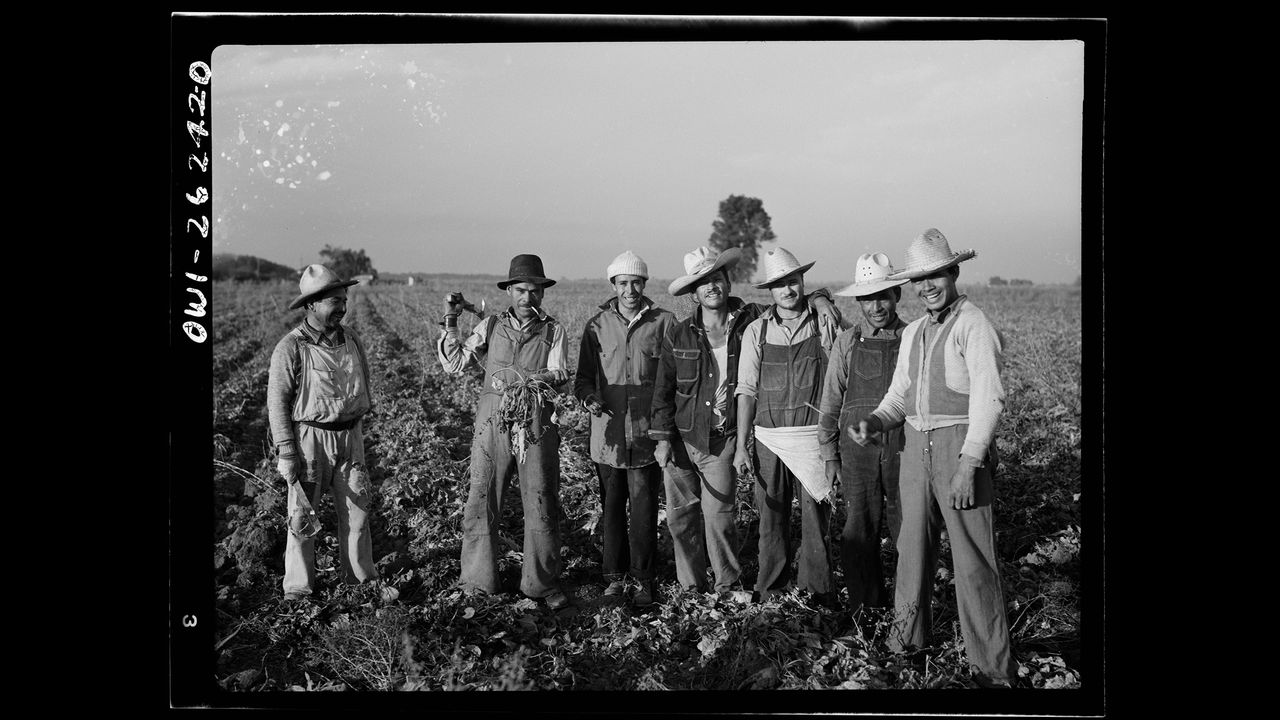 These 20th century photos of Mexican workers being rounded up and sent back highlight how mass deportations from the USA are nothing new