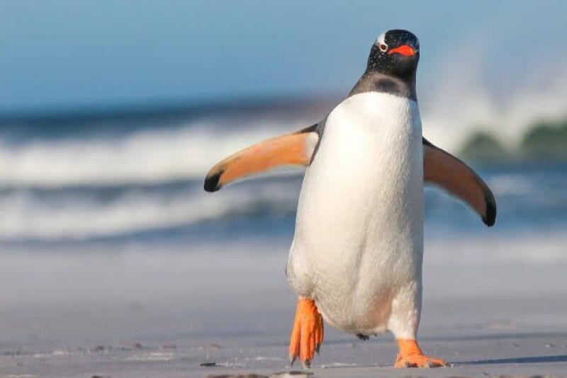 Linus Torvalds says AI has made 'huge' Linux kernel updates the new normal