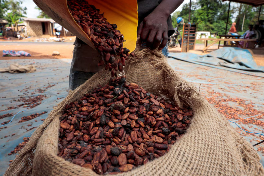 New COCOBOD Bill: Protecting cocoa should not come at the cost of farmers’ rights