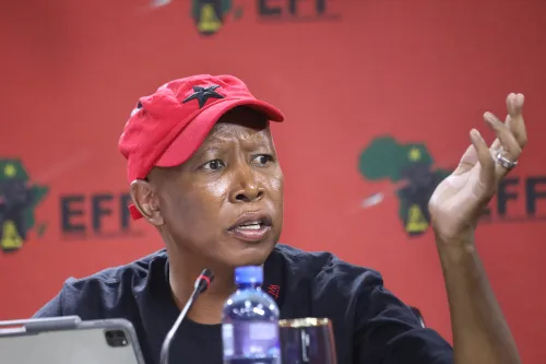 Taxpayers bear R1.2m cost for police presence during Malema's sentencing