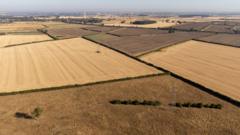Continued drought could cause shortage of some foods, farmers' union head says