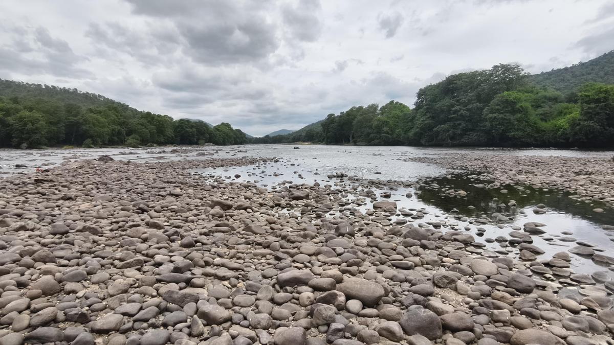 Direct Karnataka to release backlog of 17.604 tmcft Cauvery water: T.N. to Supreme Court