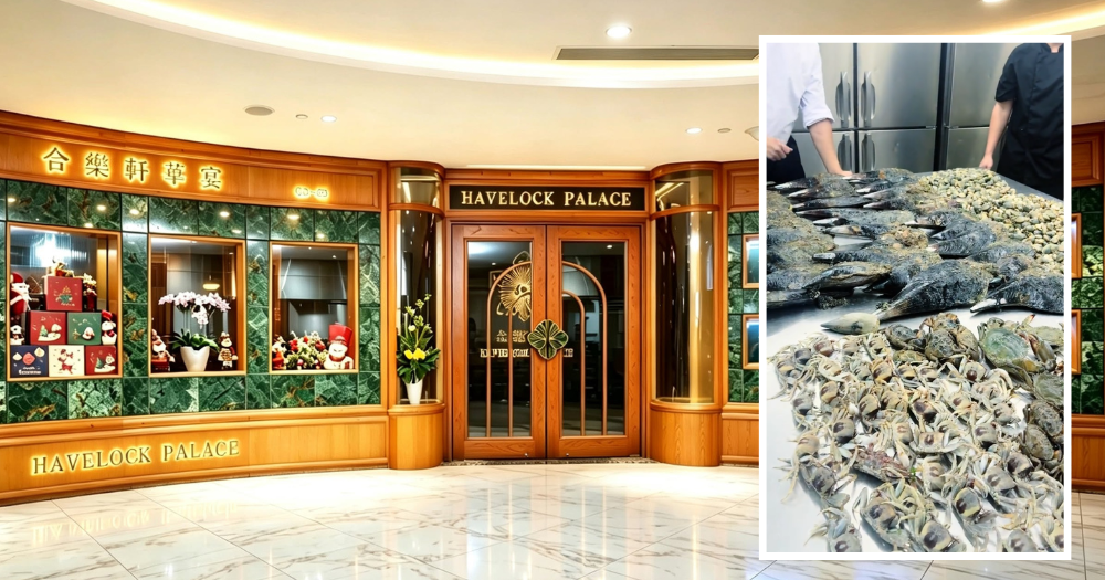 S'pore restaurant involved in Changi coastal foraging controversy apologises