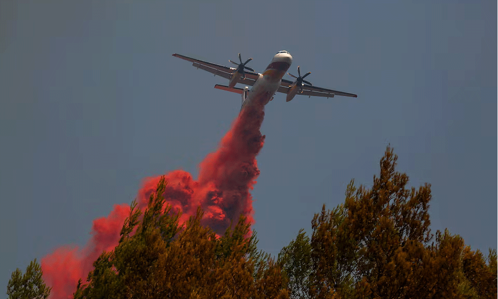 Europe’s extreme heat could wipe out EU growth in 2026, Triodos bank says