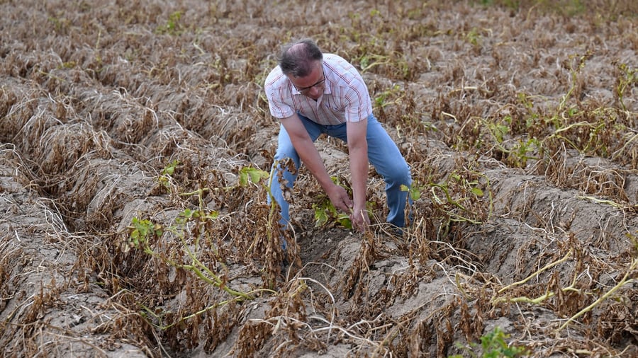 Demands on politics: farmers demand more and faster aid in climate change