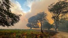 Crews tackle heathland fire that spread from van