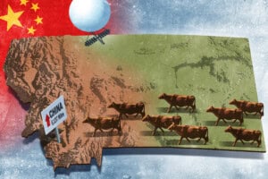 Montana in the Middle