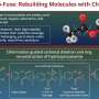 'Cut-to-fuse' strategy: A new route for molecular skeletal editing