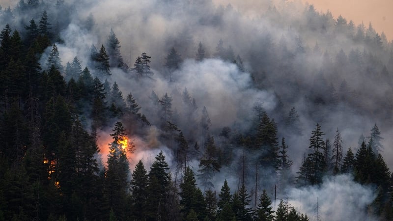 Woman, 80, dies in western Canada as wildfires spread