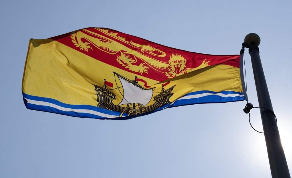 New Brunswick horse owners warned about potential virus exposure