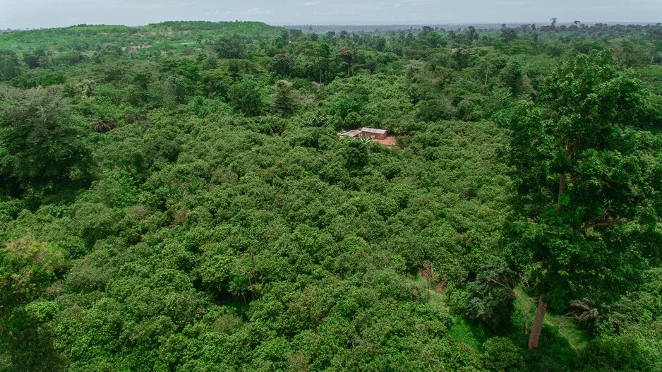 Young Positivist writes : How galamsey is affecting Ghana’s proforestation