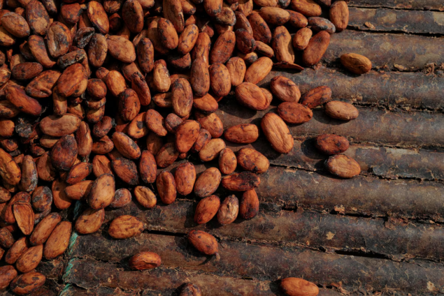 10 major changes the new COCOBOD Bill brings to Ghana’s cocoa sector