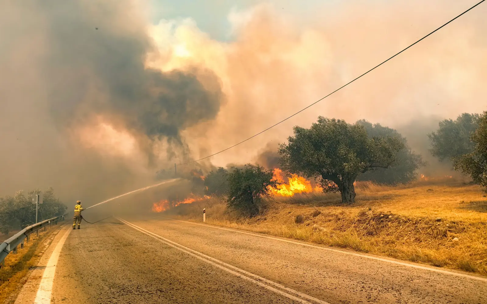 Greece battles new fire near Athens driven by winds