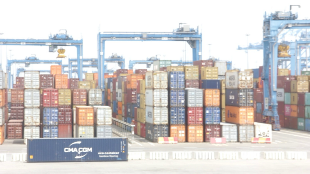 Stronger GRA digital systems needed at ports – IEAG