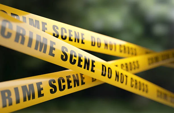 Family of four found shot dead in Cairo, suspect arrested