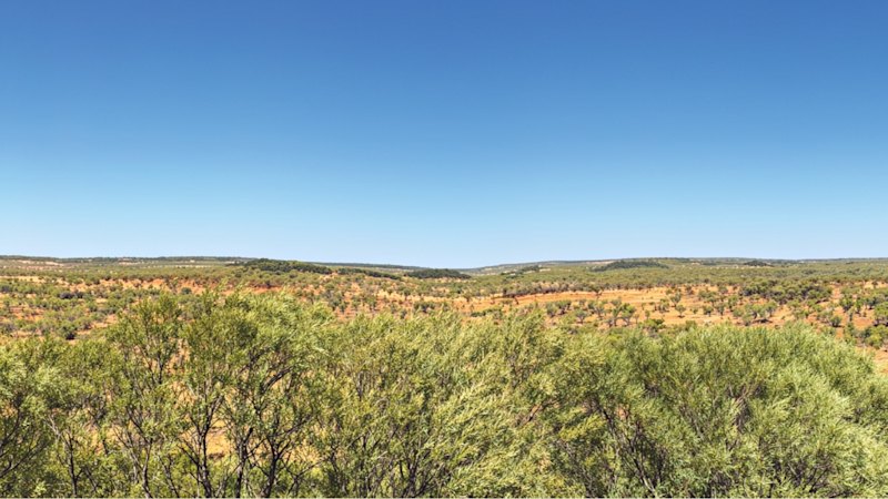 Barkly NT test cracks 99% magnet rare earths extraction