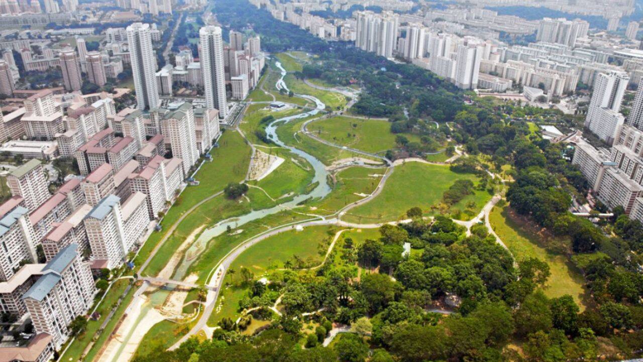 Singapore replaced concrete drain with river; biodiversity rose 30%