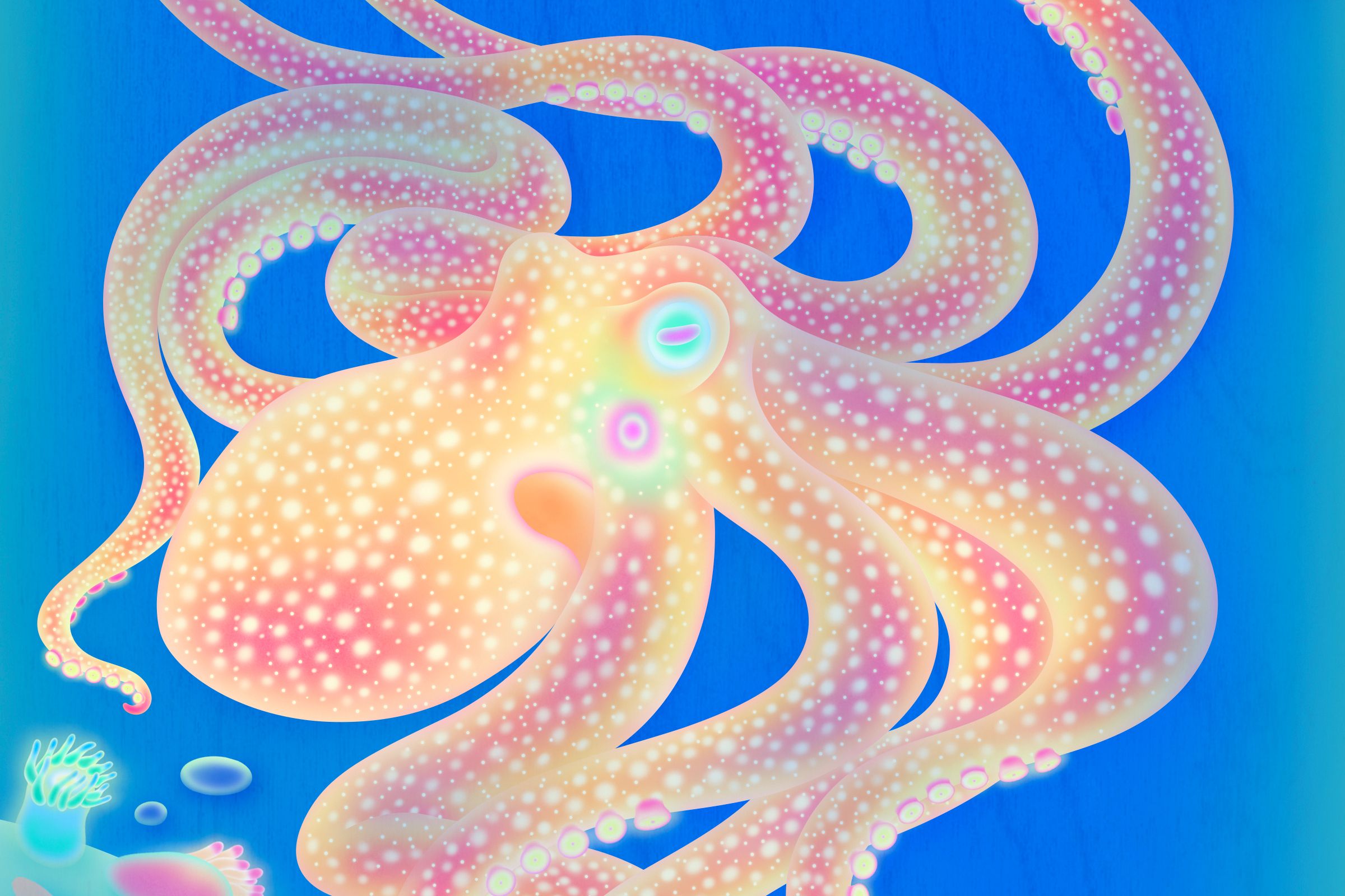 Why Each Octopus Arm Has a Mind of Its Own