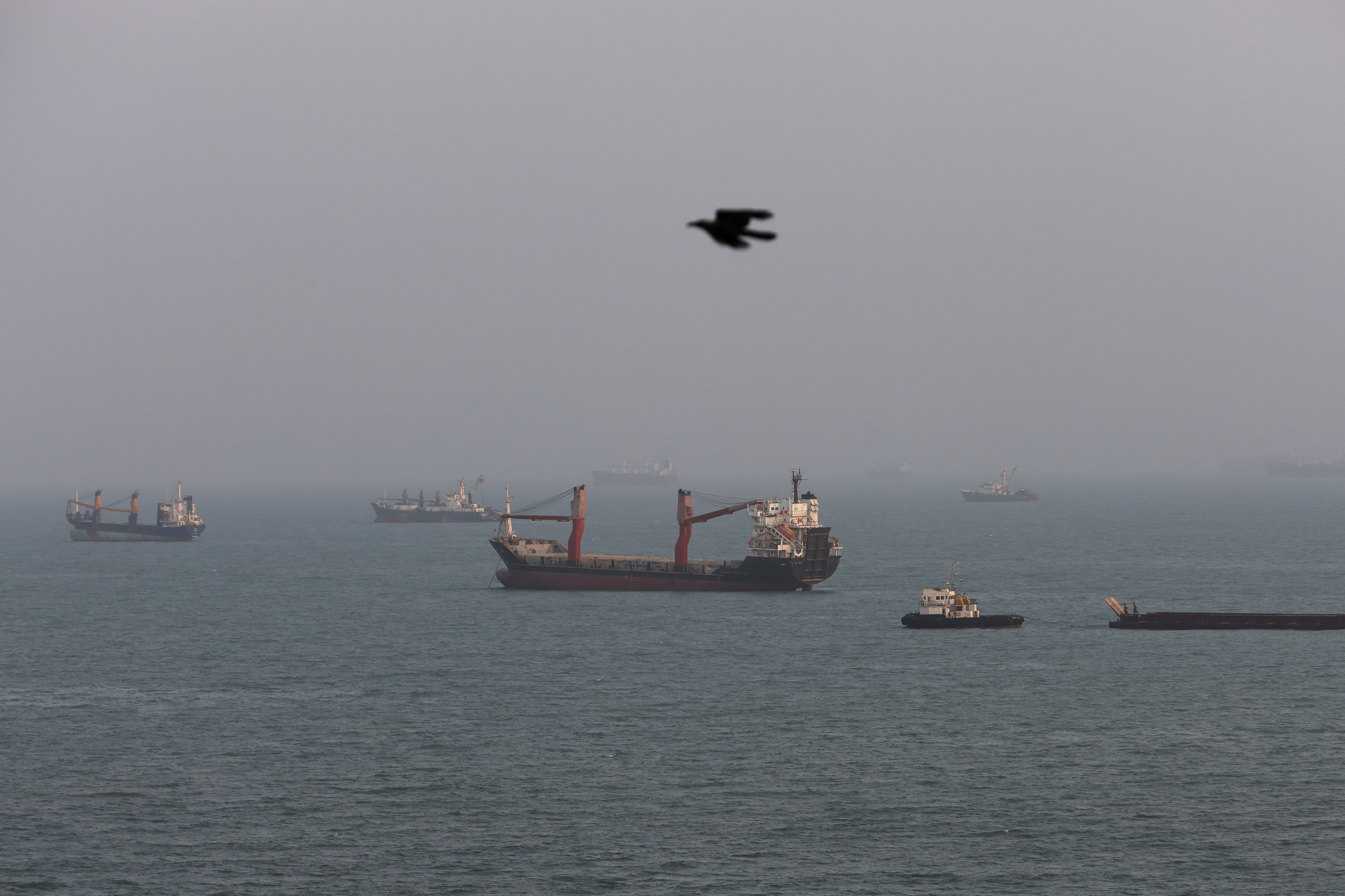 Iran war latest: US launches first strikes on Iran in a month