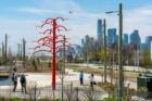 From beavers to basketball hoops: a new public art trail opens in Toronto