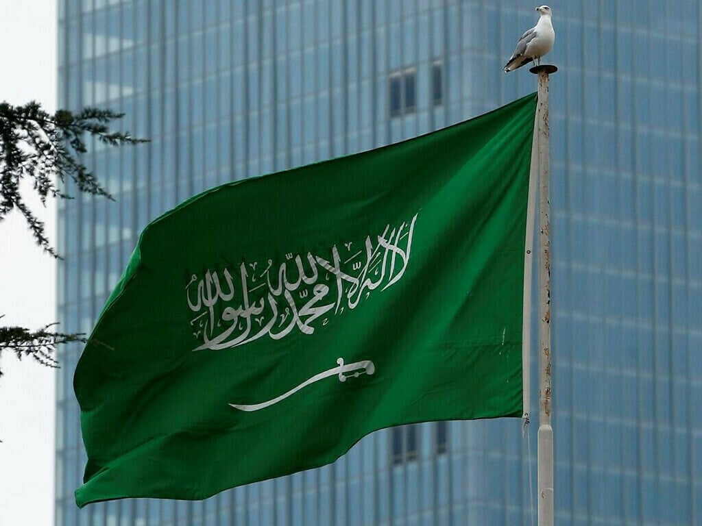 Pakistan, Saudi Arabia set $3b food export target