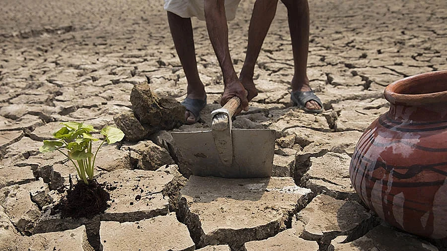 Beed Farmers Get Debt Relief As ₹90.75 Crore Credited To 13,110 Accounts