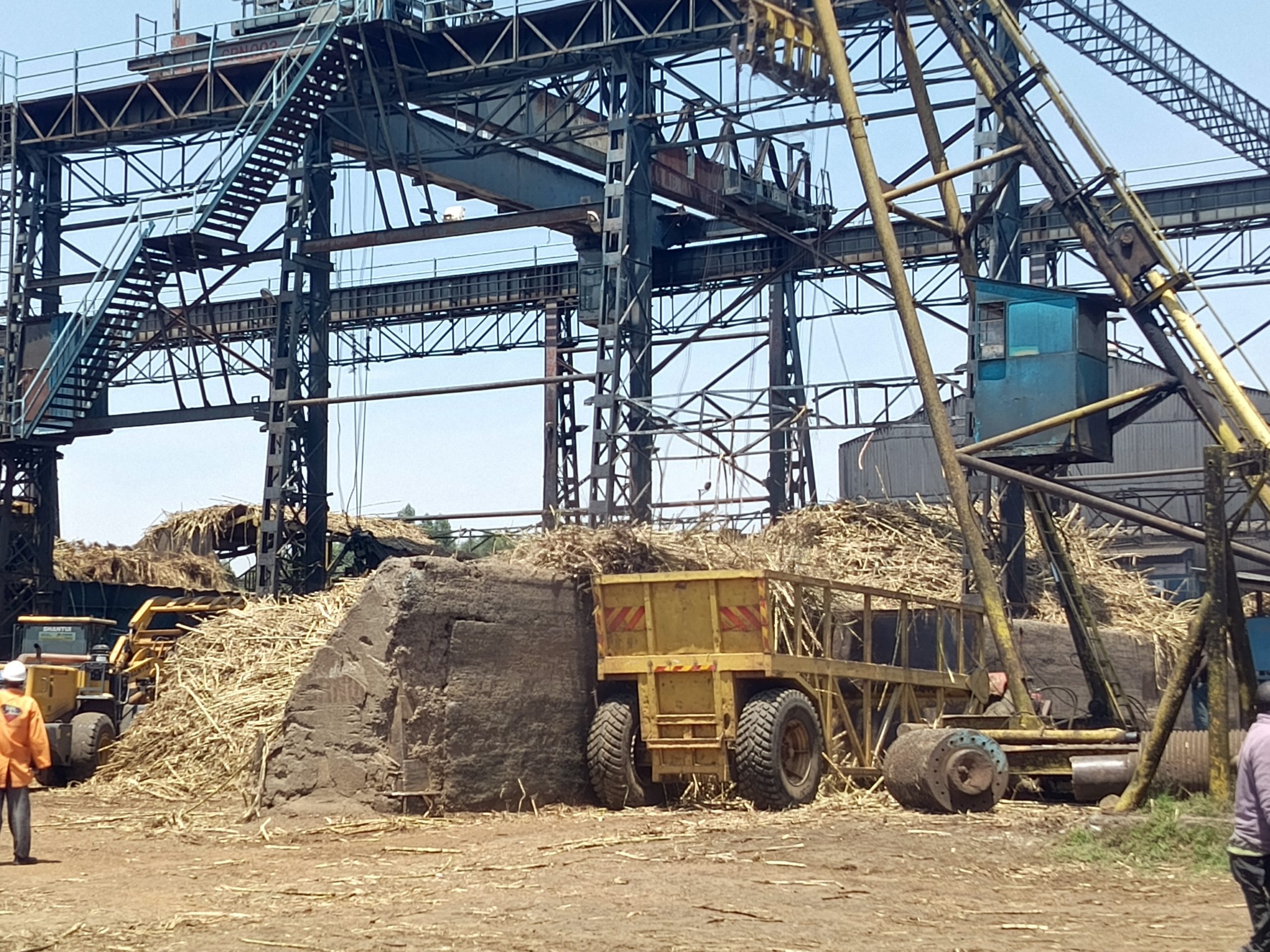 State urged to clear outstanding debt owed to cane farmers