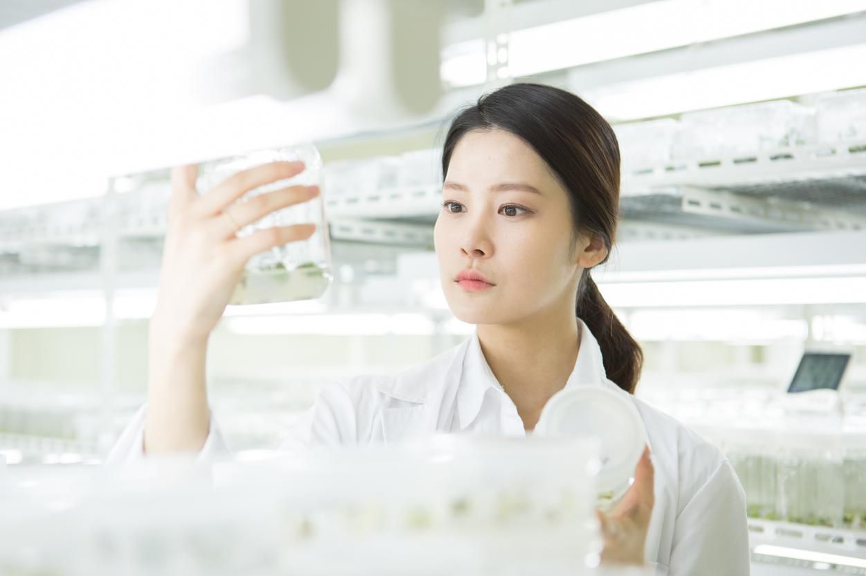 Gov't to register state-certified trademarks worldwide to stop counterfeit cosmetics