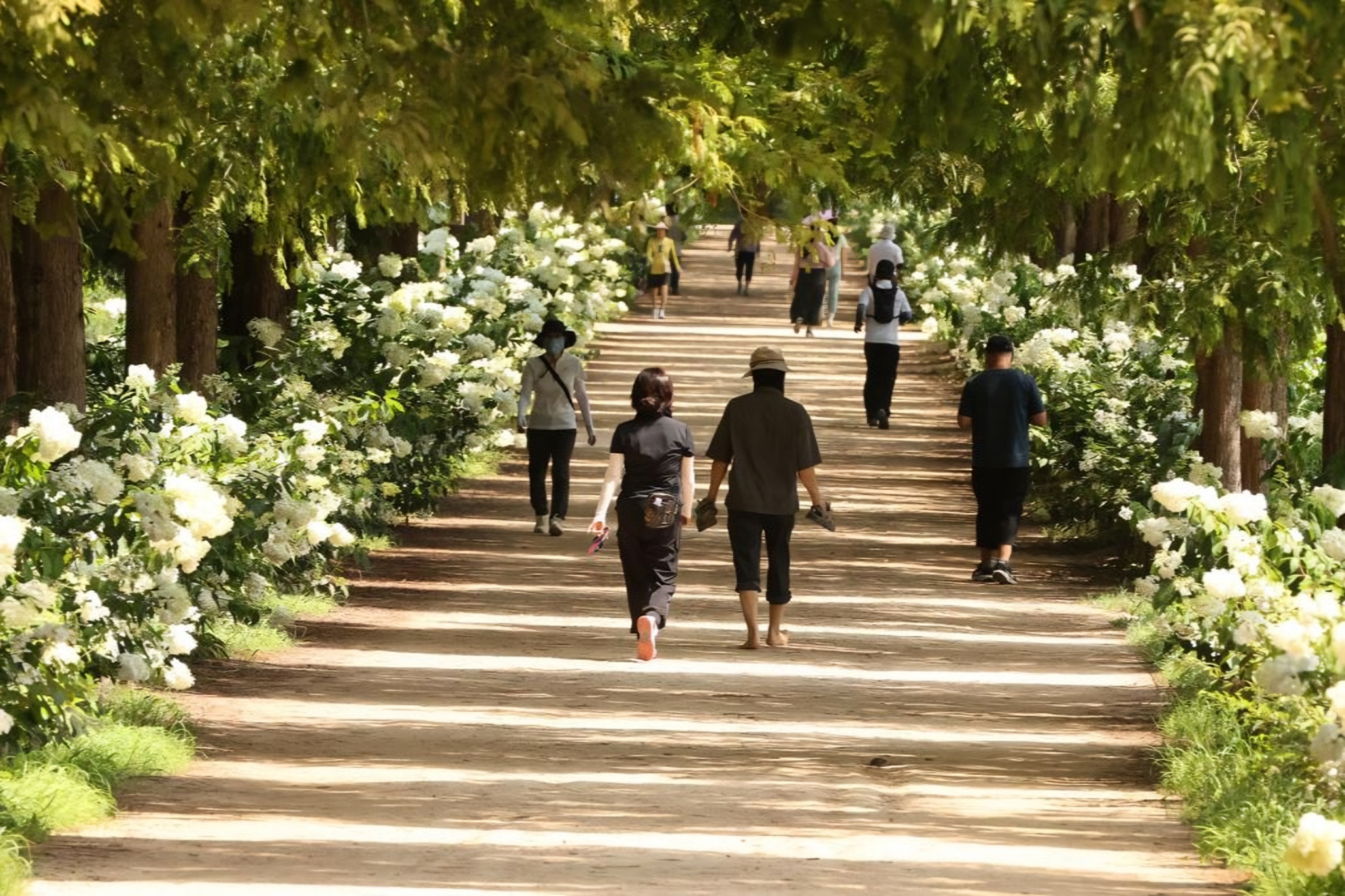 Forested trails overtake beaches as top island travel attractions in Korea