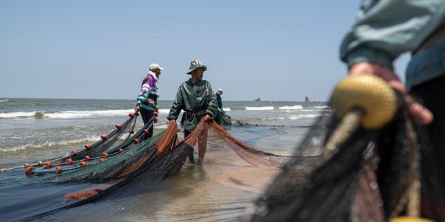 'No regulation exists:' Suez Canal becomes gateway for invasive species in the Mediterranean