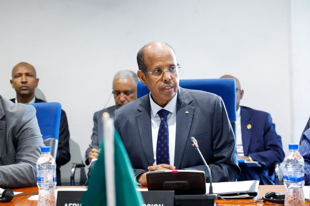AU Chairperson reaffirms commitment to global African unity