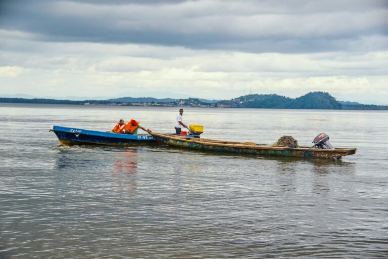 Gabon ends fisheries partnership agreement with EU