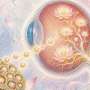 New gene activation tool may do what CRISPR cannot: Work inside the body