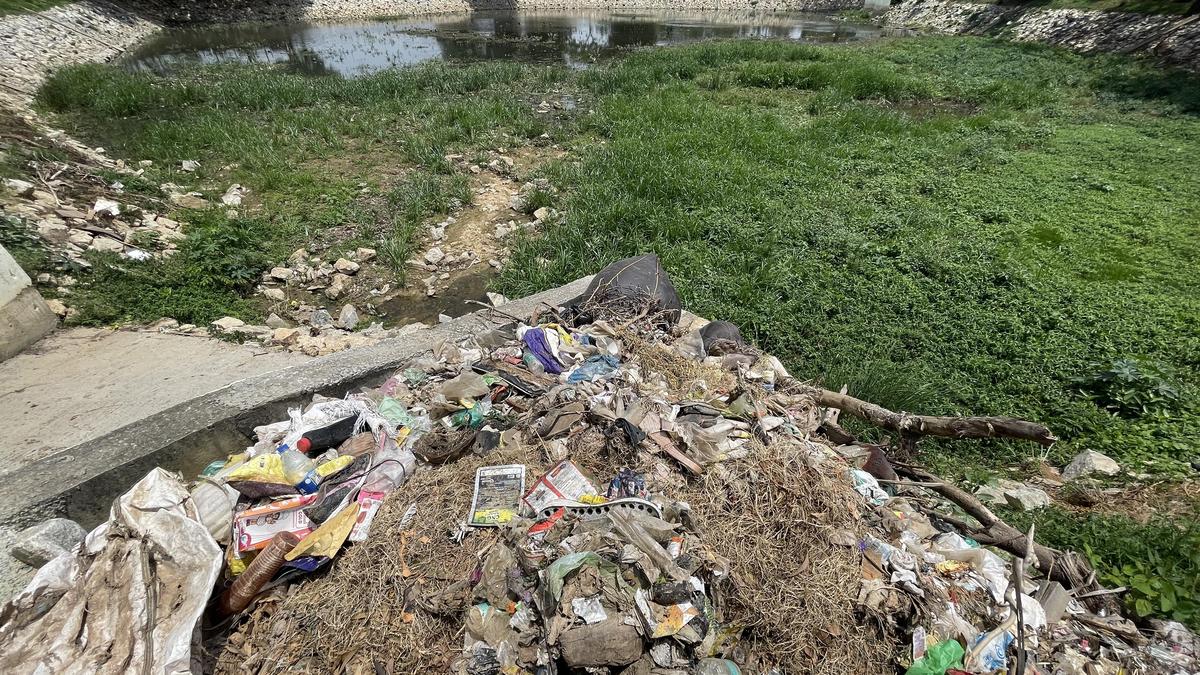 Lokayukta pulls up five Bengaluru South tahsildars over delay in clearing lake encroachments