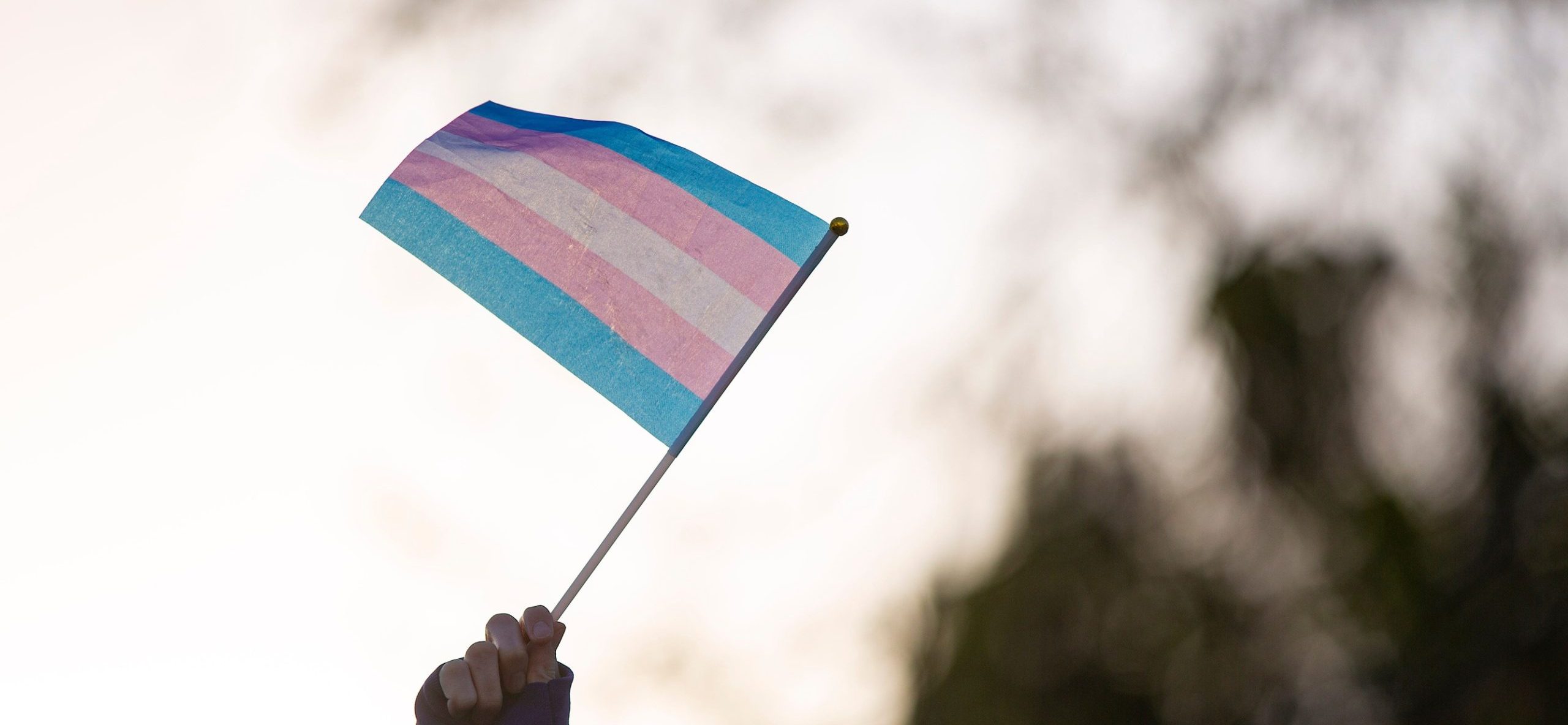 ‘I don’t have an issue with it’: Team owner supports trans athletes