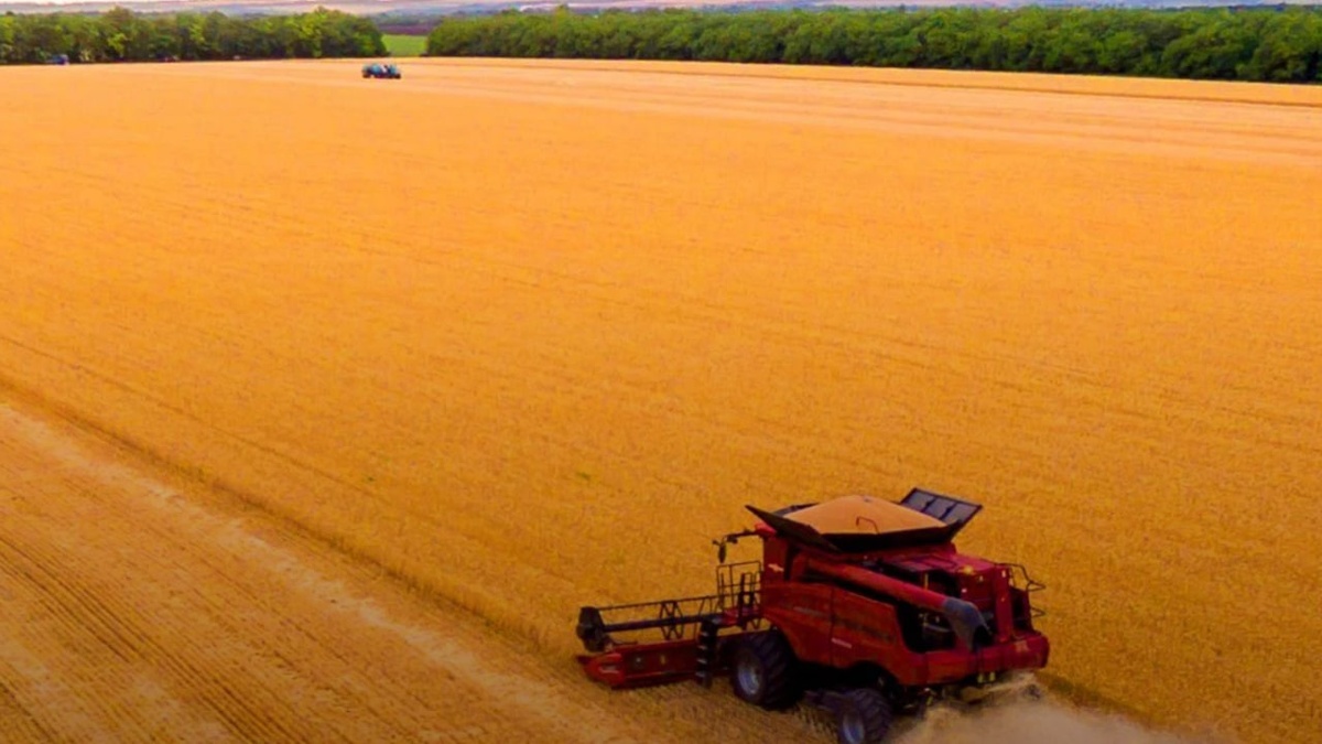 Russian drones destroy Prometey grain elevator in Sumy region
