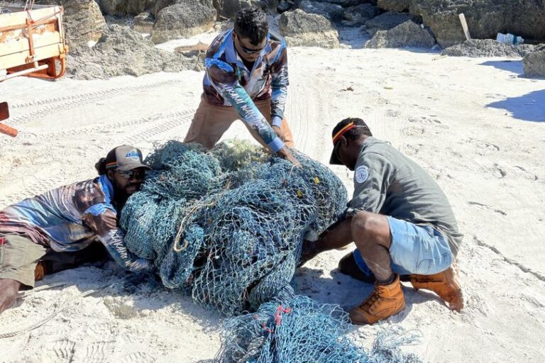 Indigenous rangers pull killer ‘ghost nets’ from Australia’s northern coast
