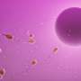 Higher doses of common fertility drug linked to pregnancy risks