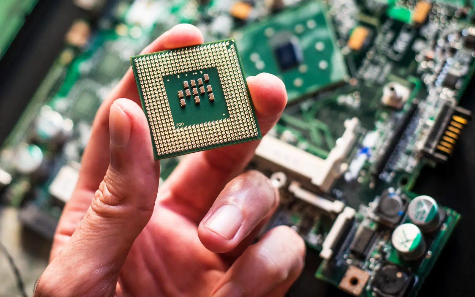 SkyeChip, NationGate head the pack as tech rally continues
