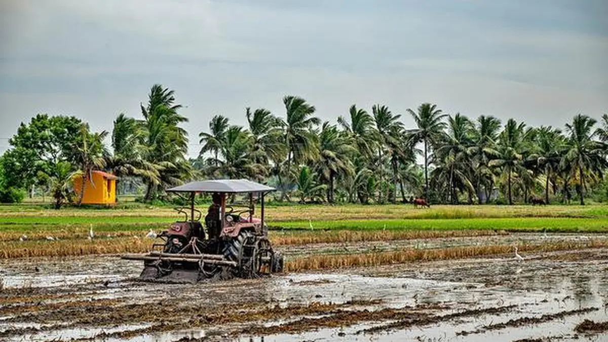 India’s kharif sowing deficit dips below 2% as overall coverage rises to 88% of normal
