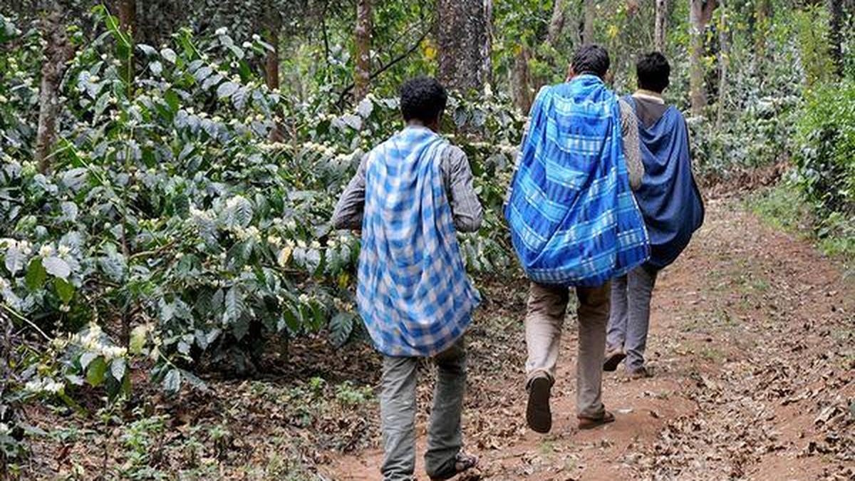 Kodagu: Crop insurance premium payment deadline extended