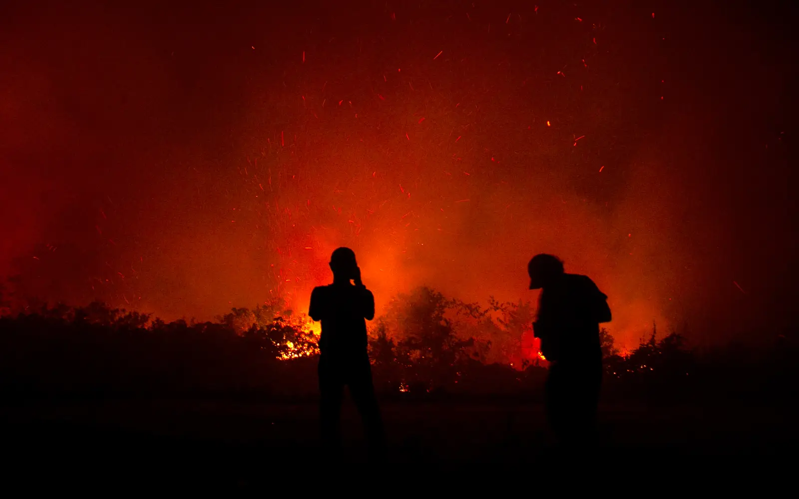 Over 107,000 hectares of forest, land affected by fires in Indonesia