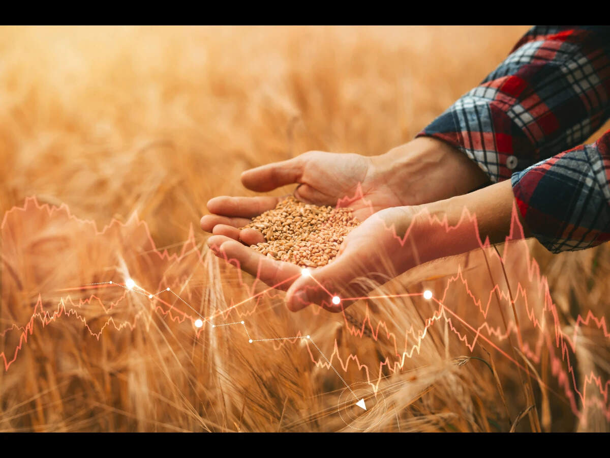 War, weather push crop prices to biggest monthly gain Since 2012
