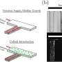 Using salt to drive drug-carrying particles deeper into difficult-to-treat biofilms