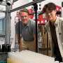 Corn-stalk sugars feed new bacterial strain designed to make useful chemicals