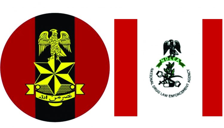 NDLEA, Army raid Edo drug hub, seize 604.5kg skunk